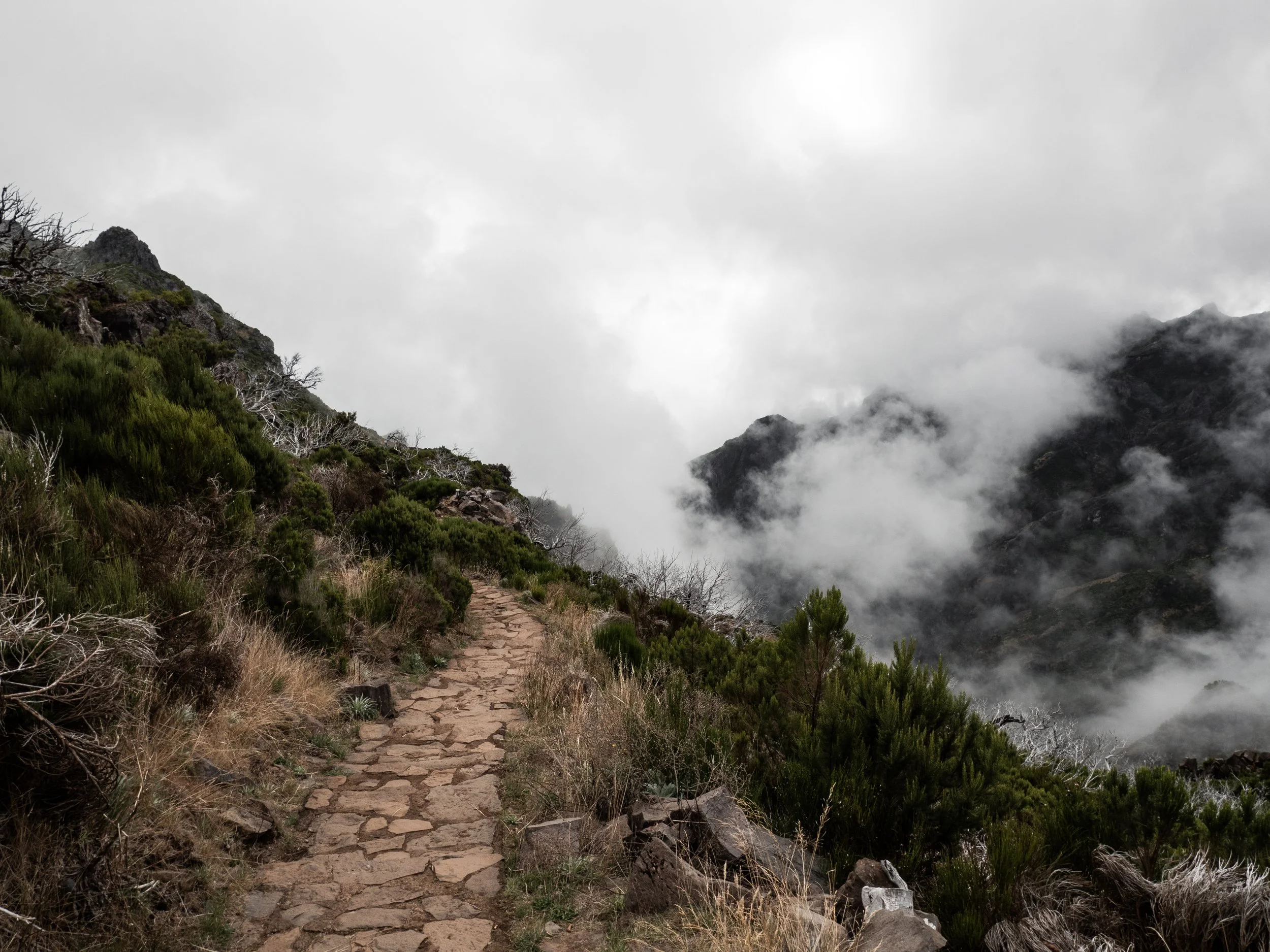 Olympus M.Zuiko 9-18mm f4-5.6 Long Term Review — Micro Four Nerds